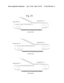 DETECTION OF NUCLEIC ACIDS diagram and image