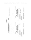 DETECTION OF NUCLEIC ACIDS diagram and image