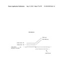 DETECTION OF NUCLEIC ACIDS diagram and image