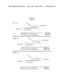 DETECTION OF NUCLEIC ACIDS diagram and image