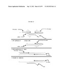 DETECTION OF NUCLEIC ACIDS diagram and image