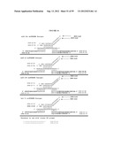 DETECTION OF NUCLEIC ACIDS diagram and image