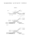 DETECTION OF NUCLEIC ACIDS diagram and image