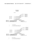 DETECTION OF NUCLEIC ACIDS diagram and image