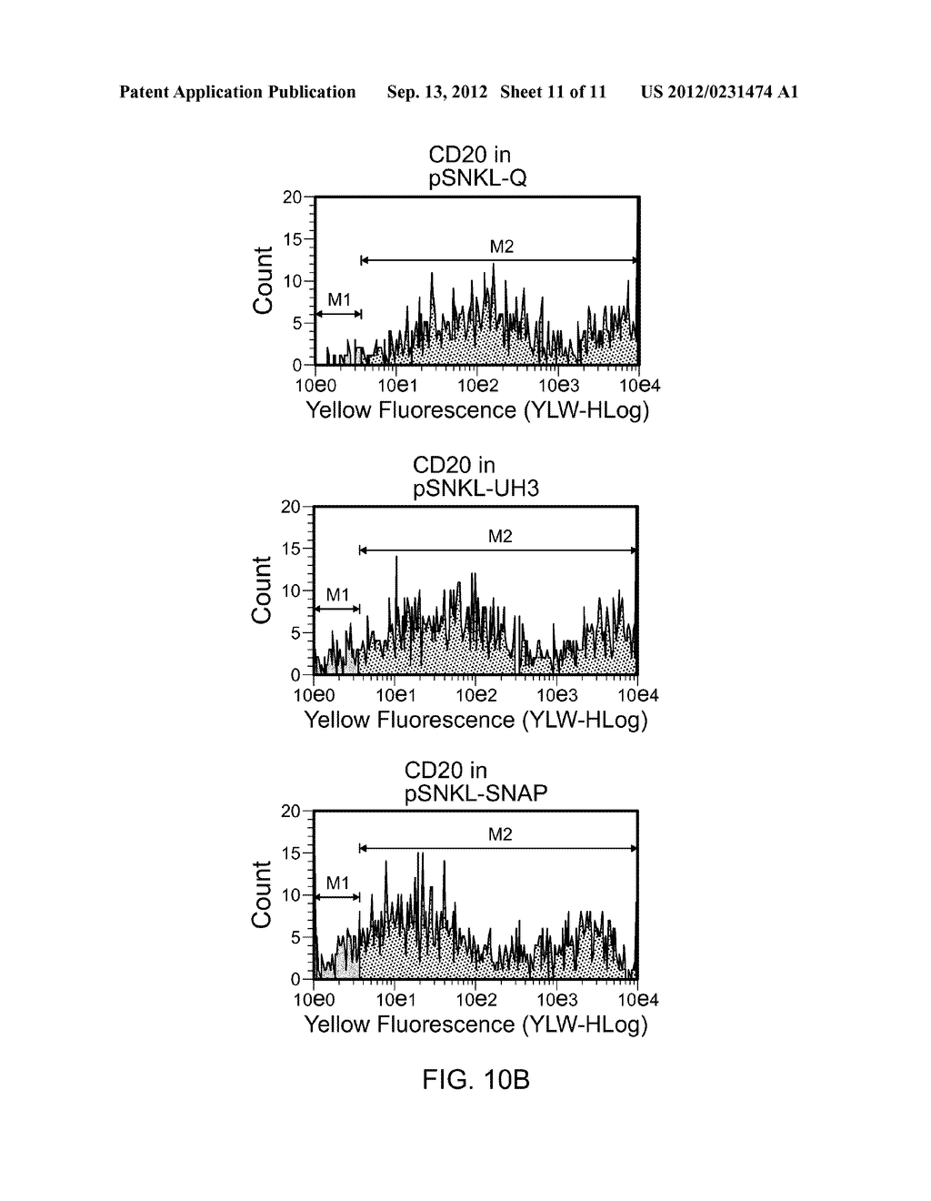 CONSTRUCTS THAT ALLOW FOR DETECTION AND QUANTITATION OF MEMBRANE PROTEINS - diagram, schematic, and image 12