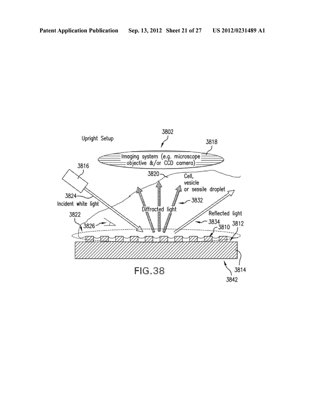 IRIDESCENT SURFACES AND APPARATUS FOR REAL TIME MEASUREMENT OF LIQUID AND     CELLULAR ADHESION - diagram, schematic, and image 22