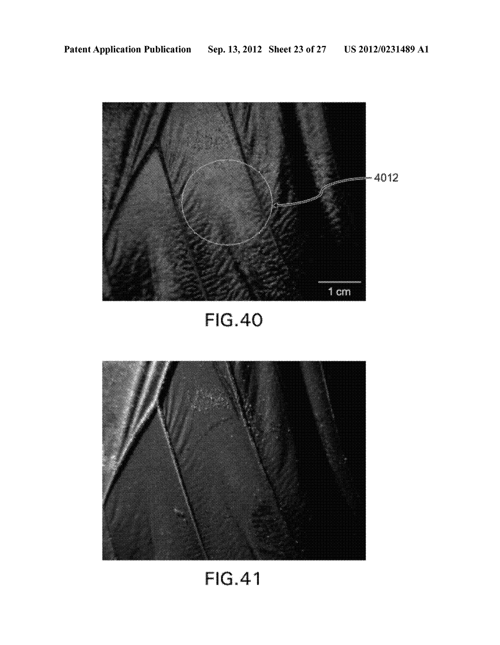 IRIDESCENT SURFACES AND APPARATUS FOR REAL TIME MEASUREMENT OF LIQUID AND     CELLULAR ADHESION - diagram, schematic, and image 24