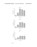 Cells For Transient Expression And Uses Thereof diagram and image