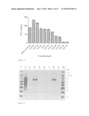 Cells For Transient Expression And Uses Thereof diagram and image