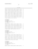 Cells For Transient Expression And Uses Thereof diagram and image