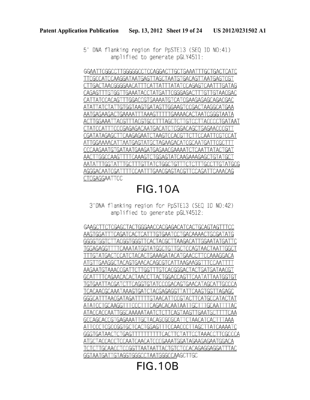 METHOD FOR PRODUCING THERAPEUTIC PROTEINS IN PICHIA PASTORIS LACKING     DIPEPTIDYL AMINOPEPTIDASE ACTIVITY - diagram, schematic, and image 20