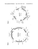 Gene Expression Technique diagram and image