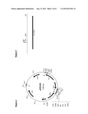 Gene Expression Technique diagram and image