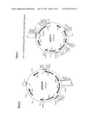 Gene Expression Technique diagram and image