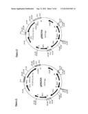 Gene Expression Technique diagram and image