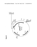 Gene Expression Technique diagram and image