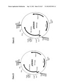 Gene Expression Technique diagram and image