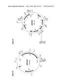 Gene Expression Technique diagram and image