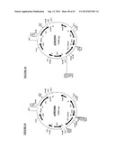 Gene Expression Technique diagram and image