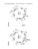 Gene Expression Technique diagram and image