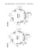 Gene Expression Technique diagram and image