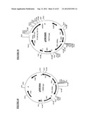 Gene Expression Technique diagram and image