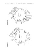 Gene Expression Technique diagram and image