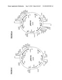 Gene Expression Technique diagram and image