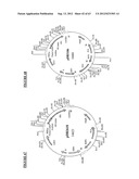 Gene Expression Technique diagram and image