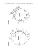 Gene Expression Technique diagram and image