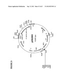 Gene Expression Technique diagram and image