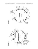 Gene Expression Technique diagram and image