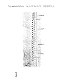 Gene Expression Technique diagram and image