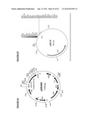 Gene Expression Technique diagram and image