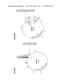 Gene Expression Technique diagram and image