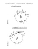 Gene Expression Technique diagram and image