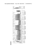 Gene Expression Technique diagram and image