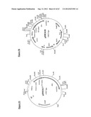 Gene Expression Technique diagram and image