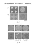 MINIATURIZED ELECTROPORATION-READY MICROWELL ARAY FOR HIGH-THROUGHPUT     GENOMIC SCREENING diagram and image