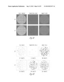 MINIATURIZED ELECTROPORATION-READY MICROWELL ARAY FOR HIGH-THROUGHPUT     GENOMIC SCREENING diagram and image