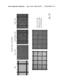 MINIATURIZED ELECTROPORATION-READY MICROWELL ARAY FOR HIGH-THROUGHPUT     GENOMIC SCREENING diagram and image