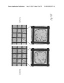 MINIATURIZED ELECTROPORATION-READY MICROWELL ARAY FOR HIGH-THROUGHPUT     GENOMIC SCREENING diagram and image