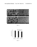 Molecular Surface Design of Tyrosine-Derived Polycarbonates for Attachment     of Biomolecules diagram and image