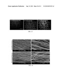 Molecular Surface Design of Tyrosine-Derived Polycarbonates for Attachment     of Biomolecules diagram and image