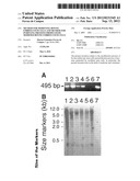 METHOD FOR MODIFYING BOVINE EMBRYO STEM CELLS AND METHOD FOR PURIFYING     PROTEINS PRODUCED BY MODIFIED BOVINE EMBRYO STEM CELLS diagram and image