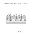 3D MEMORY ARRAY ARRANGED FOR FN TUNNELING PROGRAM AND ERASE diagram and image