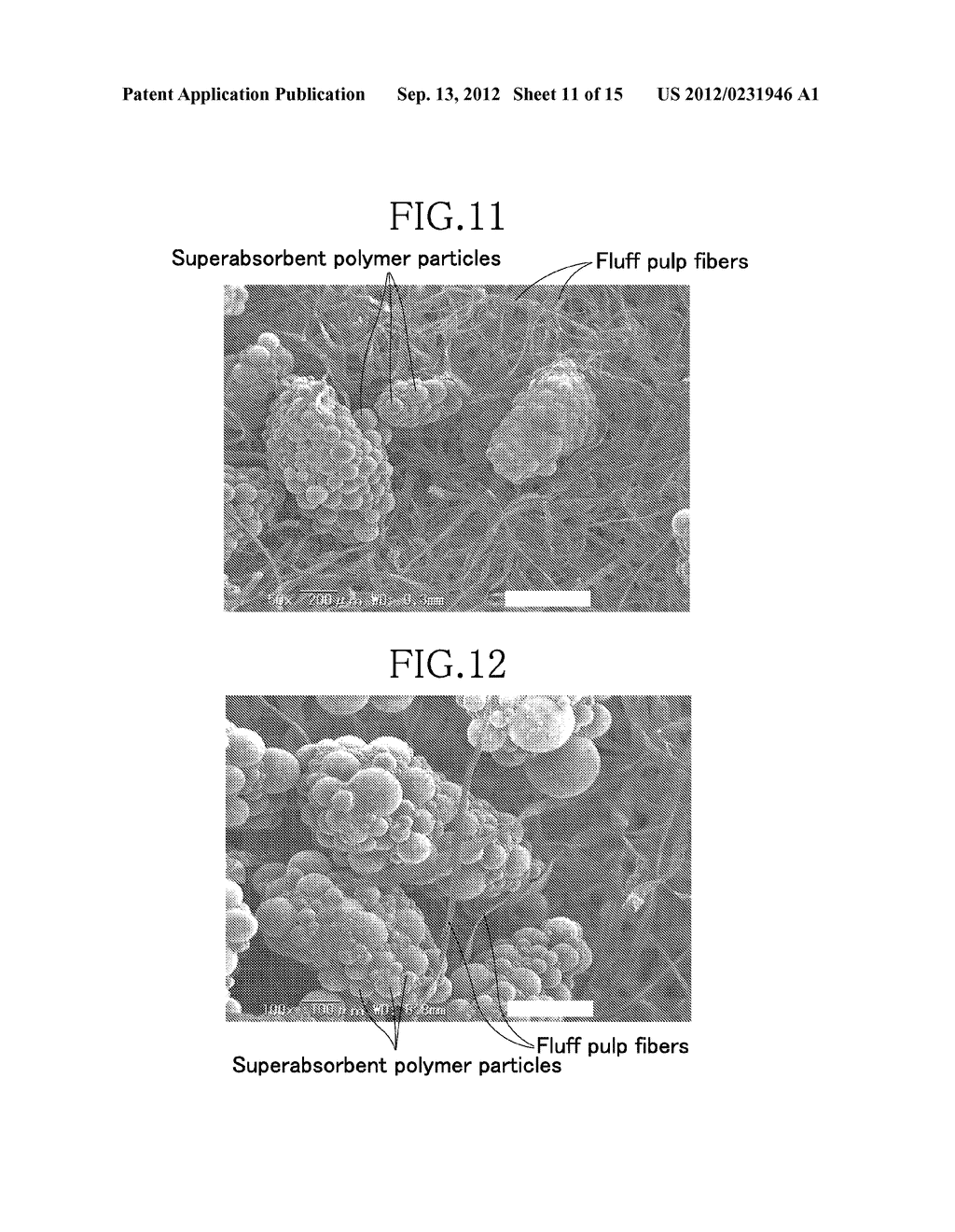 METHOD FOR THINNING AGGREGATE OF WATER-ABSORBENT MATERIAL AND THIN     AGGREGATE OF WATER-ABSORBENT MATERIAL OBTAINED USING THE METHOD - diagram, schematic, and image 12