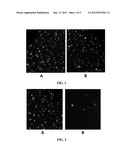 METHODS AND SYSTEMS FOR SPORES DETECTION diagram and image