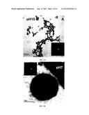 FIBROUS CALCIUM PYROPHOSPHATE PARTICLES AND METHODS OF MAKING AND USING     SAME diagram and image