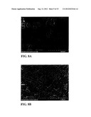 FIBROUS CALCIUM PYROPHOSPHATE PARTICLES AND METHODS OF MAKING AND USING     SAME diagram and image